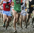 Runners racing in the mud for cross country Royalty Free Stock Photo