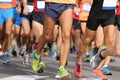 runners with sportswear and running shoes during the marathon Royalty Free Stock Photo