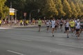 Runners at the thirty-sixth Berlin Marathon, Germany.