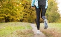 Running along a park path, healthcare and problem concept - close-up of an unhappy person suffering from pain in the leg or knee Royalty Free Stock Photo