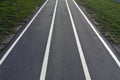 Running asphalt track with white painted lines. Royalty Free Stock Photo