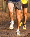 Running athlete Royalty Free Stock Photo