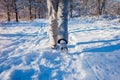 Running athlete man sprinting in winter forest. Training outside in cold snowy weather. Active healthy way of life Royalty Free Stock Photo