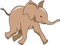 Running baby elephant