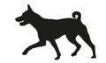Running basenji puppy. African bush dog or congo dog. Black dog silhouette. Pet animals. Isolated on a white background.
