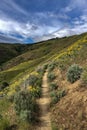 Mountain biking single track trail in the foothills above Boise, Idaho Royalty Free Stock Photo