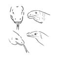 Running black line varan, dragon Komodo, on white background. Sketch style. Vector graphic icon animal.