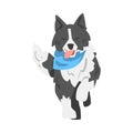 Running Border Collie Dog, Smart Shepherd Pet Animal with Black White Coat Cartoon Vector Illustration Royalty Free Stock Photo