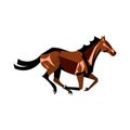 Running brown horse Royalty Free Stock Photo