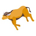 Running buffalo icon isometric vector. American bison Royalty Free Stock Photo