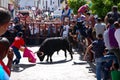 Running with the Bull in Arcos de la Frontera