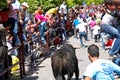 Running with the Bull in Arcos de la Frontera