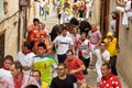 Running bulls in Brihuega tradicional Encierro Royalty Free Stock Photo