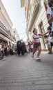 Running of the bulls for children. Party for children with inflatable bullfights