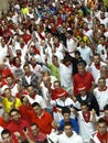 Running of the bulls in Pamplona Royalty Free Stock Photo