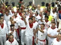 Running of the bulls in Pamplona Royalty Free Stock Photo