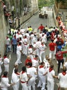 Running of the bulls in Pamplona Royalty Free Stock Photo