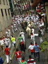 Running of the bulls in Pamplona Royalty Free Stock Photo