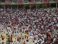 Running of the bulls in Pamplona Royalty Free Stock Photo