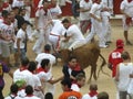 Running of the bulls in Pamplona Royalty Free Stock Photo