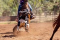 Australian Team Calf Roping At Country Rodeo