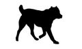 Running central asian shepherd dog puppy. Black dog silhouette. Pet animals. Isolated on a white background. Royalty Free Stock Photo