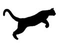 Running Cheetah Silhouette Vector Template Royalty Free Stock Photo