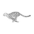 Running Cheetah, wild African cat, vector sketch illustration Royalty Free Stock Photo