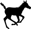 Running Colt Silhouette Royalty Free Stock Photo