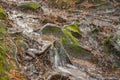 Running creek in the forest is washing away everything in its path