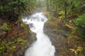 Running creek in Rogue Gorge