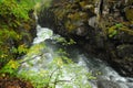 Running creek in Rogue Gorge