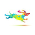 Running dachshund icon. Splash paint dog symbol Royalty Free Stock Photo