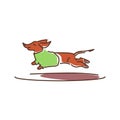 Running dog color line icon. Pet. Dachshund breed. Pictogram for web page, mobile app, promo. UI UX GUI design element