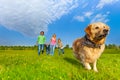 Running dog in front of happy family Royalty Free Stock Photo