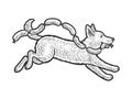 Running dog sausages sketch raster illustration