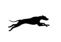 Running dog silhouette in black color Royalty Free Stock Photo