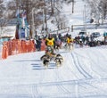 Running dog sledge team Kamchatka musher