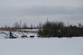 Running with dogs for endurance and long distance competitions. January 24, 2023 Moscow Russia. Male athlete on sledge with team