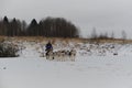 Running with dogs for endurance and long distance competitions. January 24, 2023 Moscow Russia. Musher woman rides male tourist on