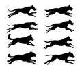 Running dogs silhouettes Royalty Free Stock Photo