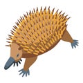 Running echidna icon isometric vector. Cute animal