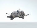 Running elephant ride