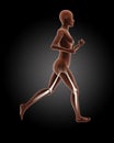 Running female medical skeleton