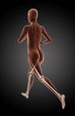 Running female medical skeleton Royalty Free Stock Photo
