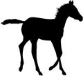 Running Foal Silhouette