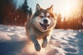 Running funny dog in snowy field. Generate ai