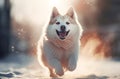 Running funny fluffy dog in wintertime. Generate ai