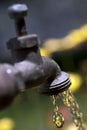 Running Garden Faucet Royalty Free Stock Photo