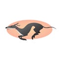 Running greyhound isolated on background. Stylized image dog. Royalty Free Stock Photo